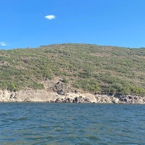 Meet your Posher, Myrtis